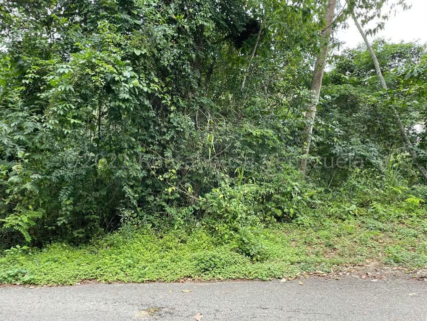 Terreno (Residencial) en Venta en Tusmare, Distrito Metropolitano - 7