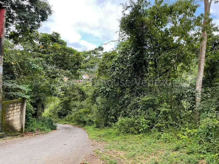 Terreno (Residencial) en Venta en Tusmare, Distrito Metropolitano - 8