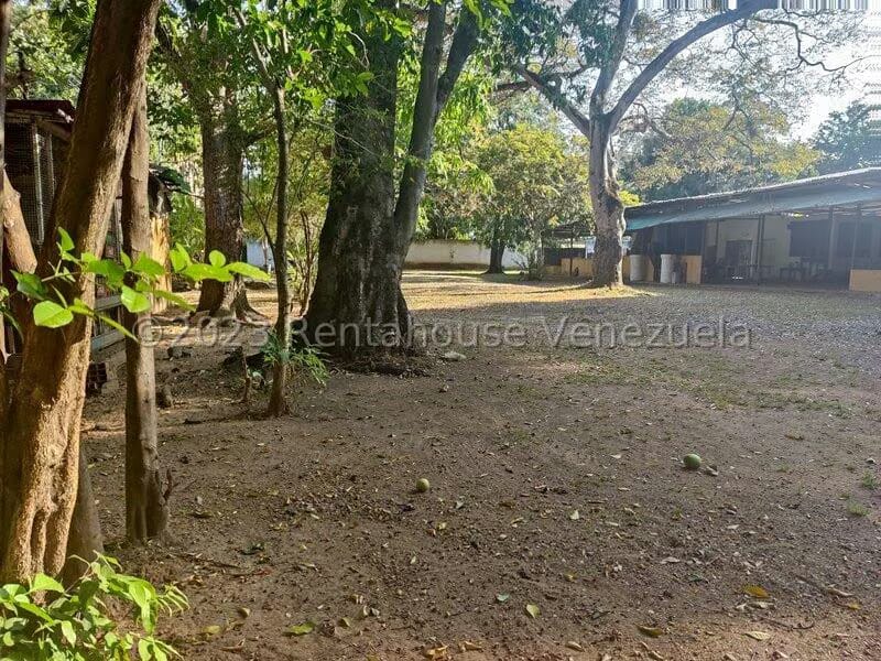 Terreno (Comercial) en Alquiler en Agua Blanca, Carabobo - 2