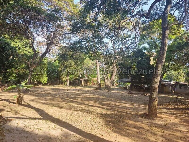 Terreno (Comercial) en Alquiler en Agua Blanca, Carabobo - 4