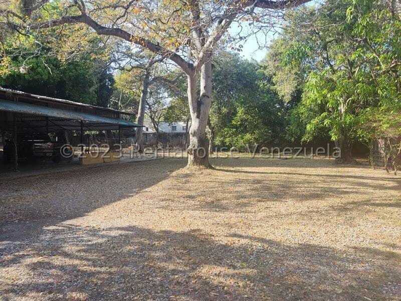Terreno (Comercial) en Alquiler en Agua Blanca, Carabobo - 8