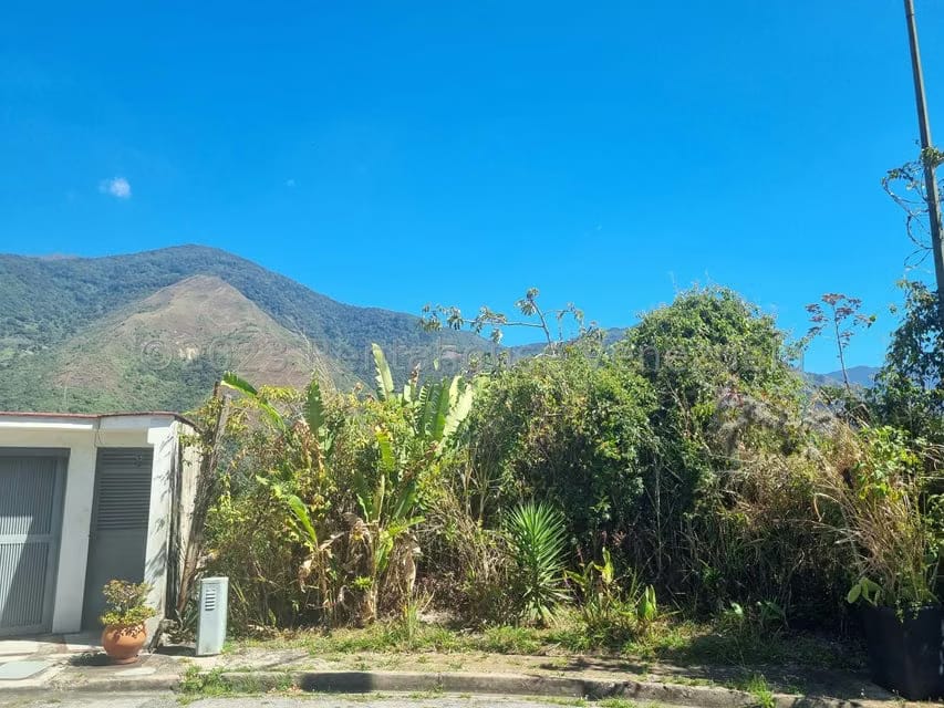 Terreno (Residencial) en Venta en Miranda, Distrito Metropolitano - 5