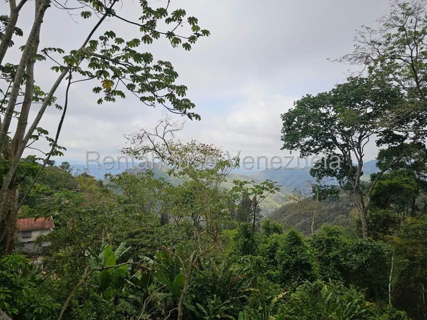 Casa (1 Nivel) en Venta en Avenida Principal Cecilio Acosta, Miranda - 32