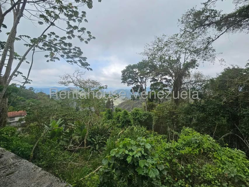 Casa (1 Nivel) en Venta en Avenida Principal Cecilio Acosta, Miranda - 34