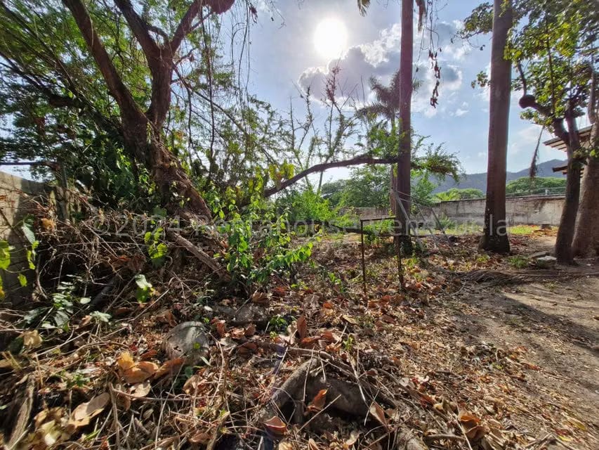 Terreno (Residencial) en Venta en Cantarrana, Aragua - 10