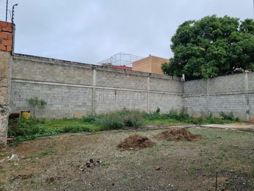Terreno (Comercial) en Alquiler en Centro, Lara - 6