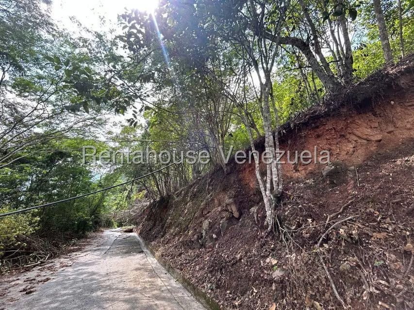 Terreno (Comercial) en Venta en Caicaguana, Distrito Metropolitano - 11