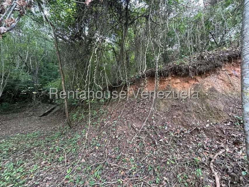 Terreno (Comercial) en Venta en Caicaguana, Distrito Metropolitano - 3