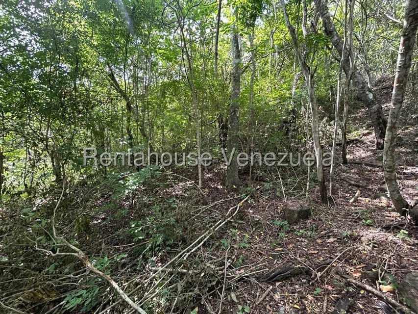 Terreno (Comercial) en Venta en Caicaguana, Distrito Metropolitano - 5
