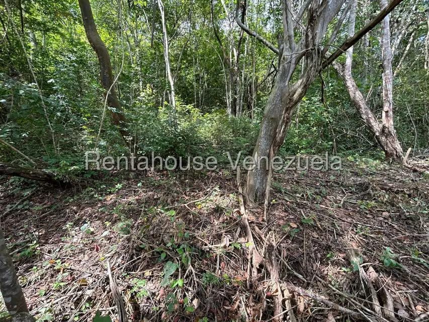 Terreno (Comercial) en Venta en Caicaguana, Distrito Metropolitano - 7
