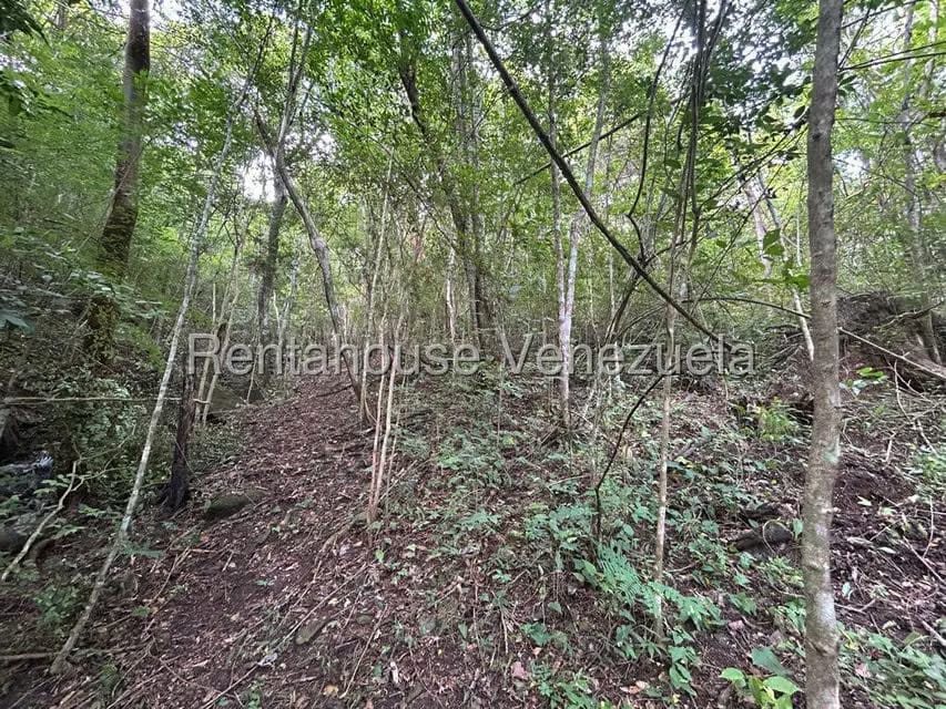 Terreno (Comercial) en Venta en Caicaguana, Distrito Metropolitano - 8