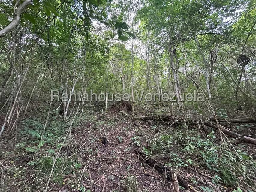 Terreno (Comercial) en Venta en Caicaguana, Distrito Metropolitano - 9