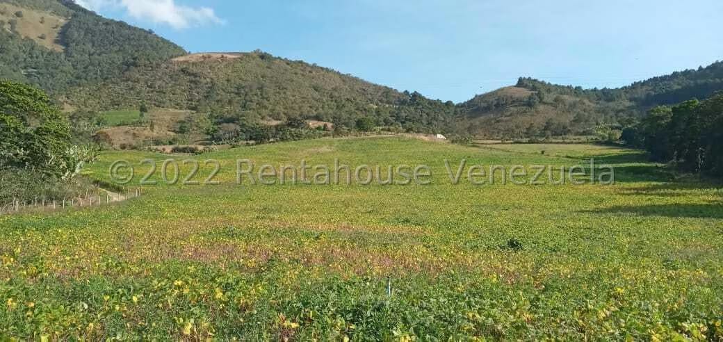 Terreno (Finca) en Venta en La Galera, Merida - 12