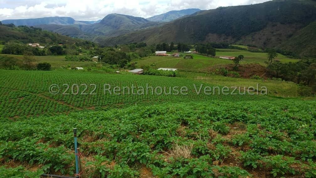 Terreno (Finca) en Venta en La Galera, Merida - 13