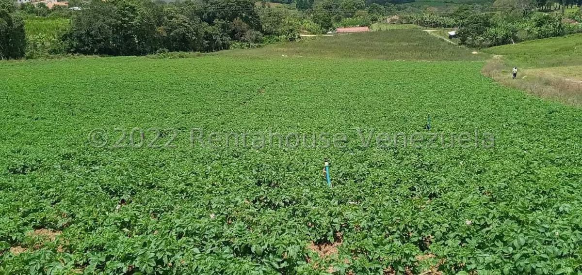 Terreno (Finca) en Venta en La Galera, Merida - 14