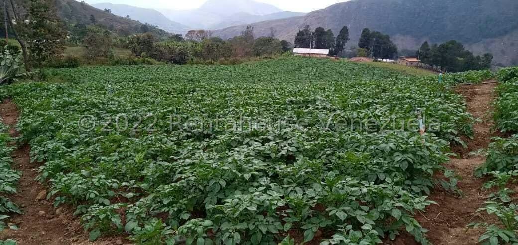 Terreno (Finca) en Venta en La Galera, Merida - 15