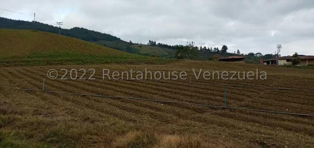 Terreno (Finca) en Venta en La Galera, Merida - 18