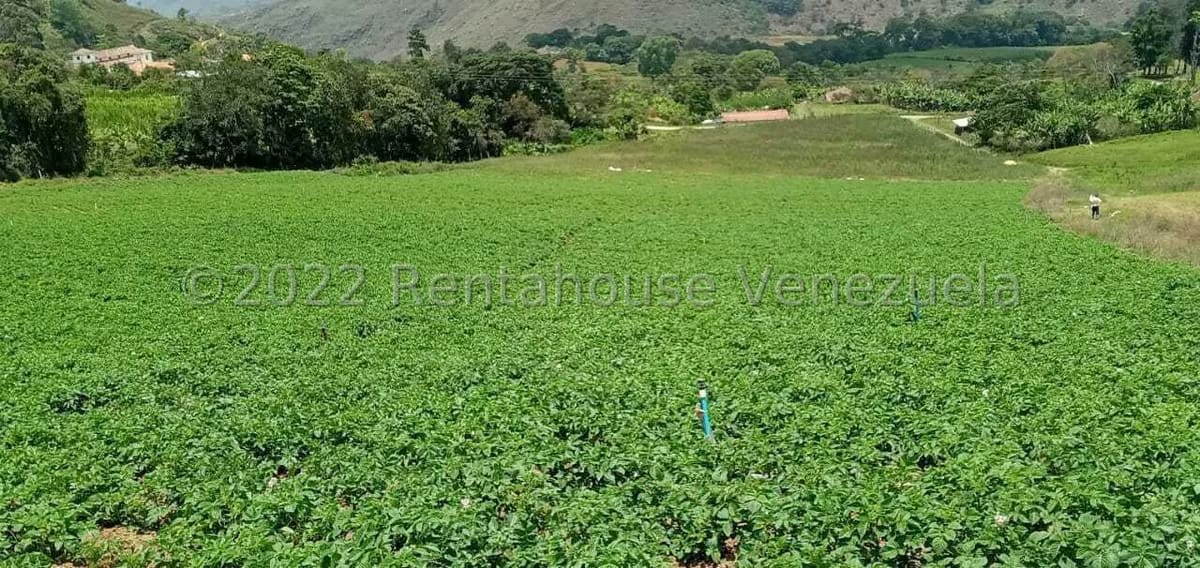 Terreno (Finca) en Venta en La Galera, Merida - 3
