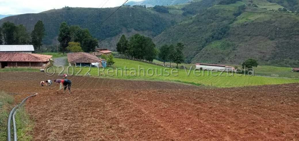 Terreno (Finca) en Venta en La Galera, Merida - 7