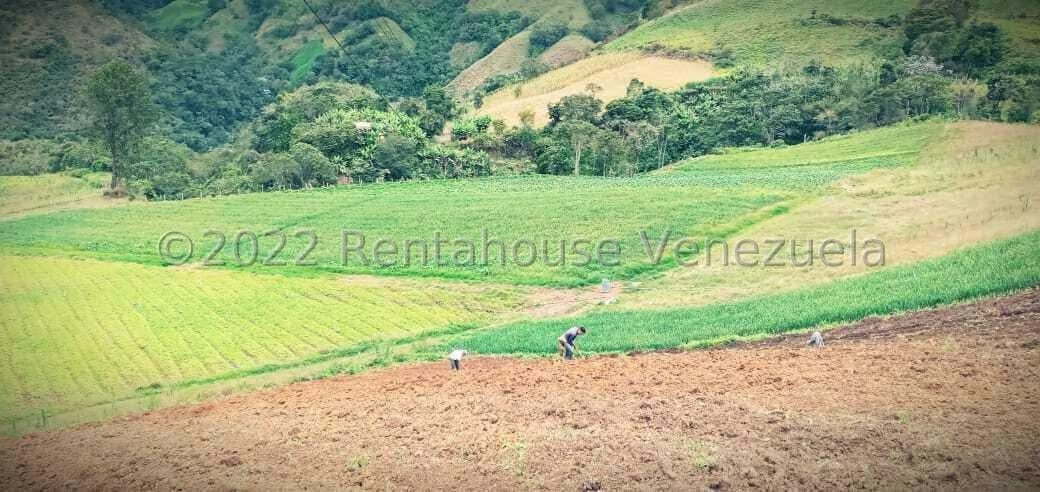 Terreno (Finca) en Venta en La Galera, Merida - 9