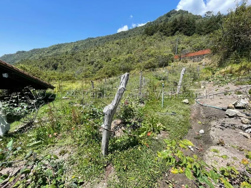 Casa (Finca) en Venta en El Valle, Merida - 57