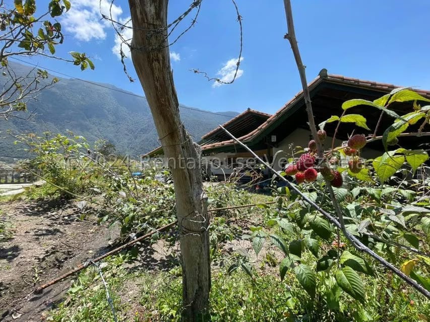 Casa (Finca) en Venta en El Valle, Merida - 58