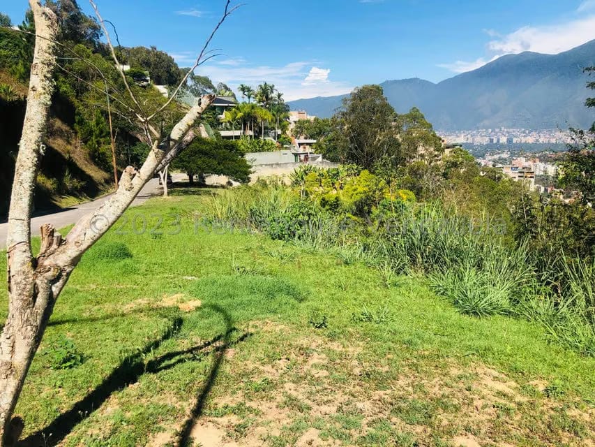 Terreno (Residencial) en Venta en Los Naranjos del Cafetal, Distrito Metropolitano - 12