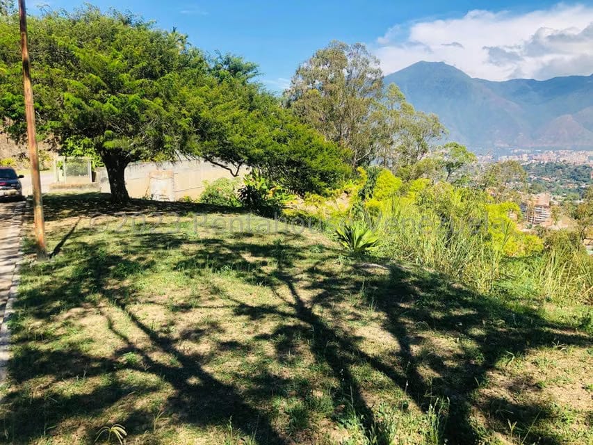 Terreno (Residencial) en Venta en Los Naranjos del Cafetal, Distrito Metropolitano - 20