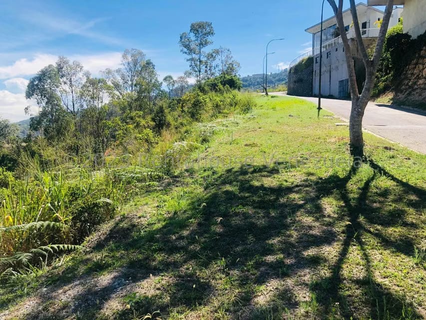Terreno (Residencial) en Venta en Los Naranjos del Cafetal, Distrito Metropolitano - 7