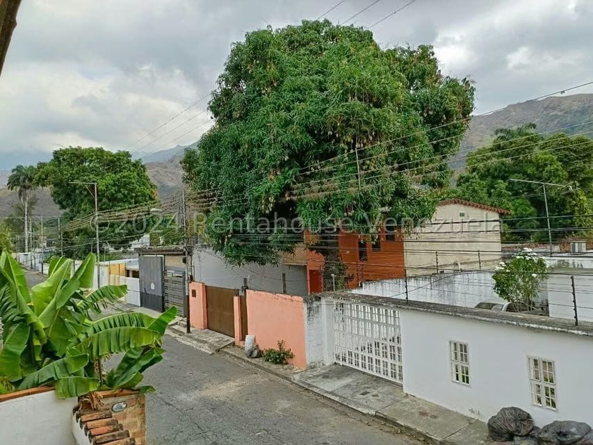 Comercial (Local Comercial) en Alquiler en El Limon, Aragua - 10