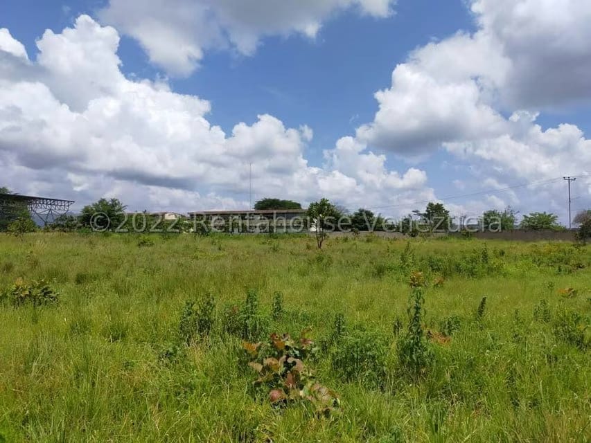 Terreno (Industrial) en Venta en Tinaquillo, Cojedes - 16
