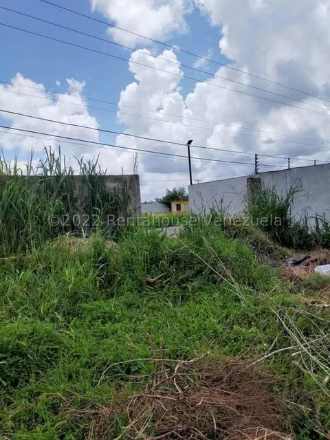 Terreno (Industrial) en Venta en Tinaquillo, Cojedes - 7