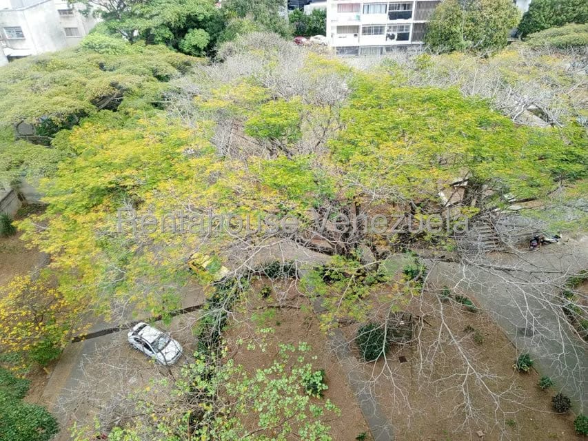 Apartamento (1 Nivel) en Alquiler en Buena Vista, Distrito Metropolitano - 47