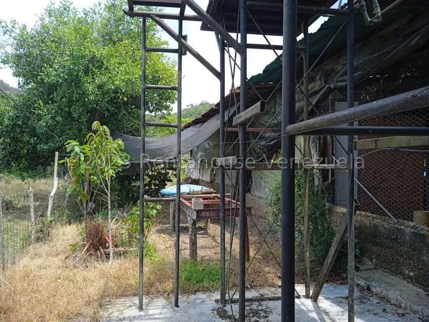 Terreno (Finca) en Venta en Bejuma, Carabobo - 14