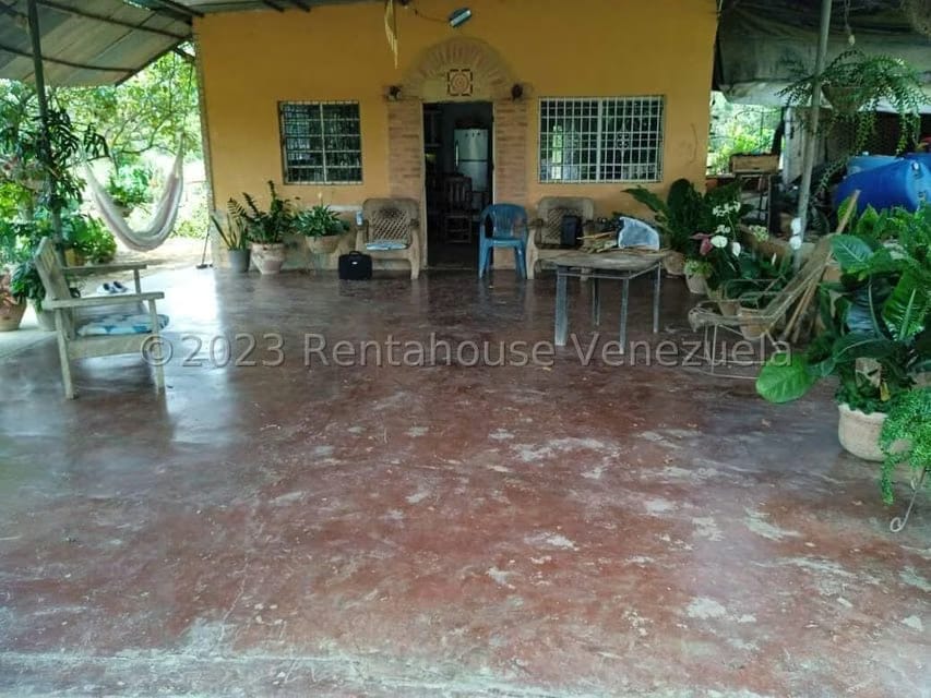 Terreno (Finca) en Venta en Bejuma, Carabobo - 4