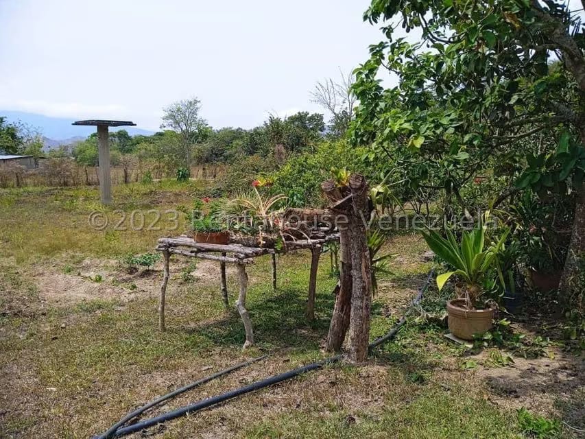 Terreno (Finca) en Venta en Bejuma, Carabobo - 5