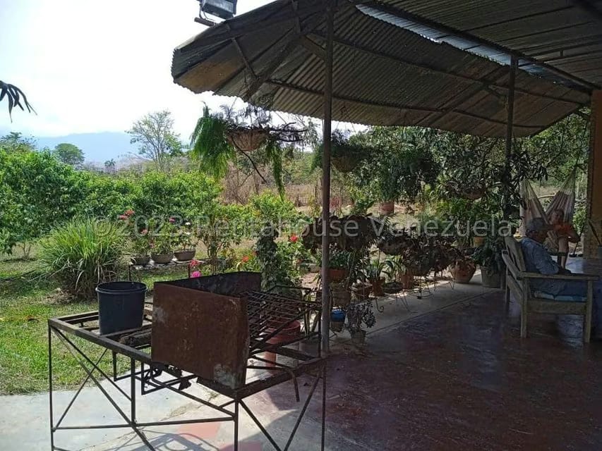 Terreno (Finca) en Venta en Bejuma, Carabobo - 10