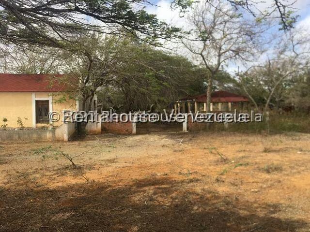 Casa (1 Nivel) en Venta en Buena Vista, Falcon - 5