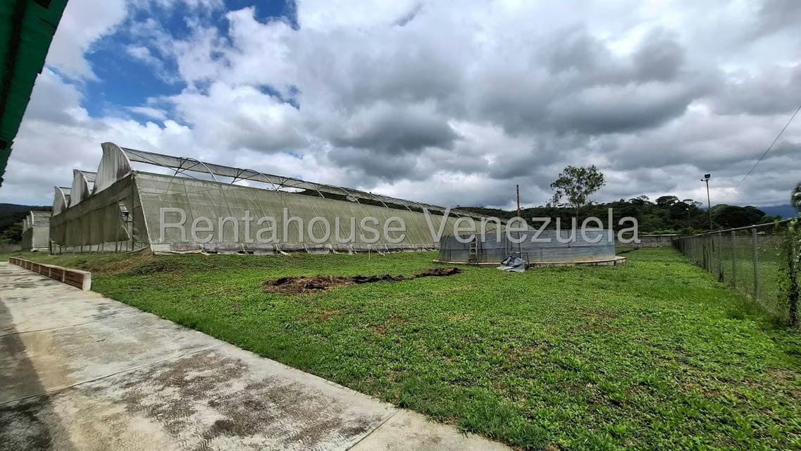 Terreno (Finca) en Venta en Aguirre, Carabobo - 46