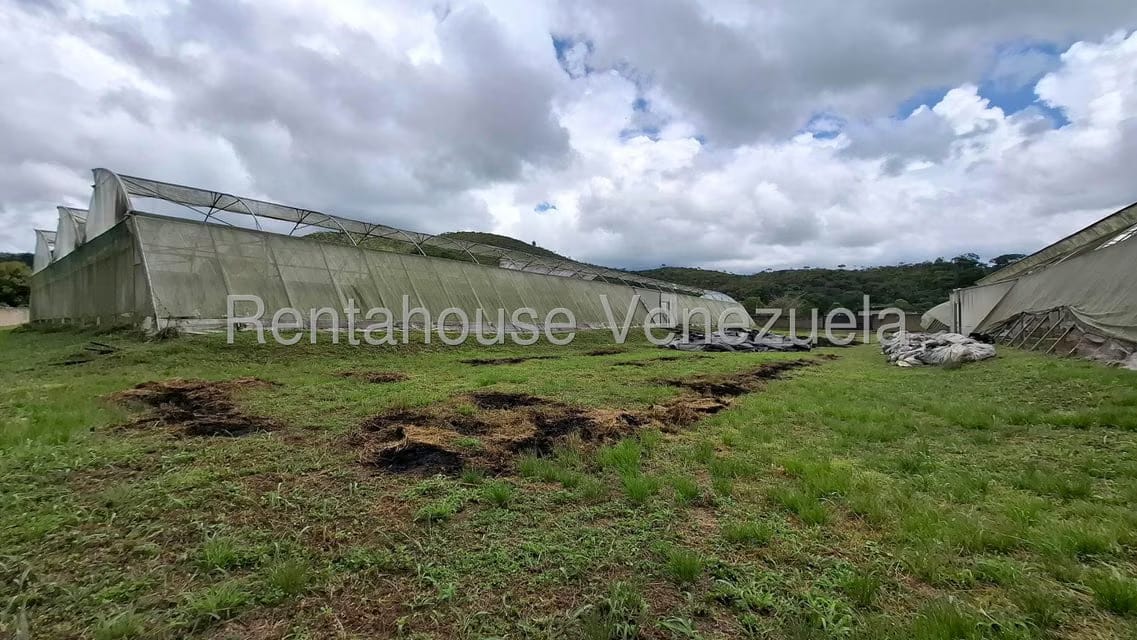 Terreno (Finca) en Venta en Aguirre, Carabobo - 73