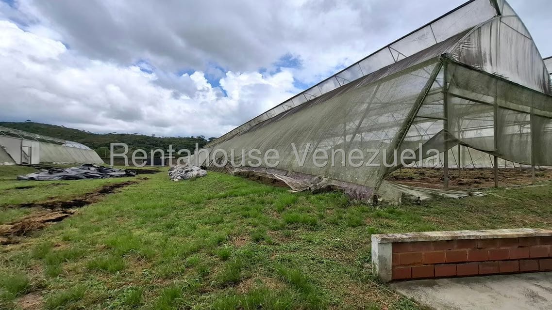 Terreno (Finca) en Venta en Aguirre, Carabobo - 75