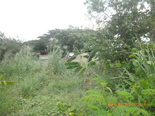Terreno (Industrial) en Venta en Zona Industrial, Guarico - 8