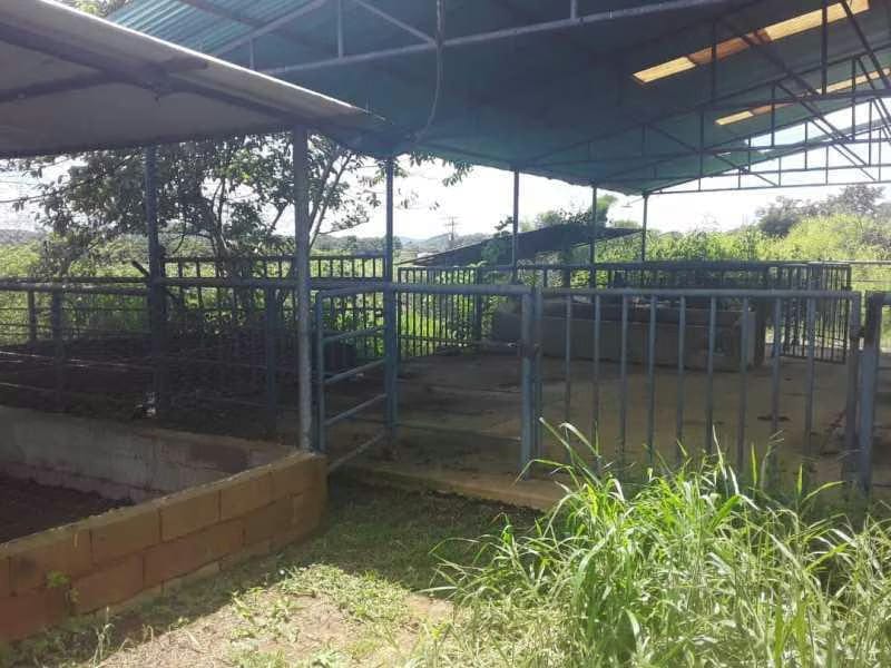 Casa (1 Nivel) en Venta en Sabana del Medio, Carabobo - 44