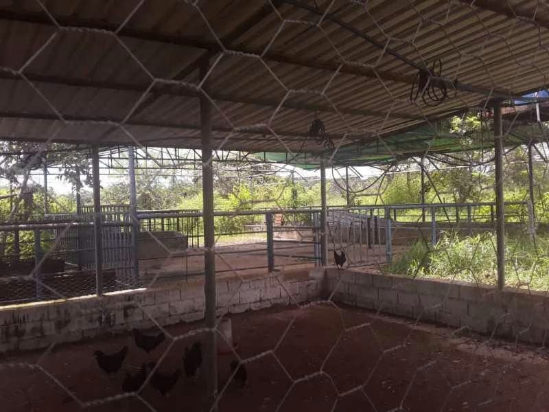 Casa (1 Nivel) en Venta en Sabana del Medio, Carabobo - 45