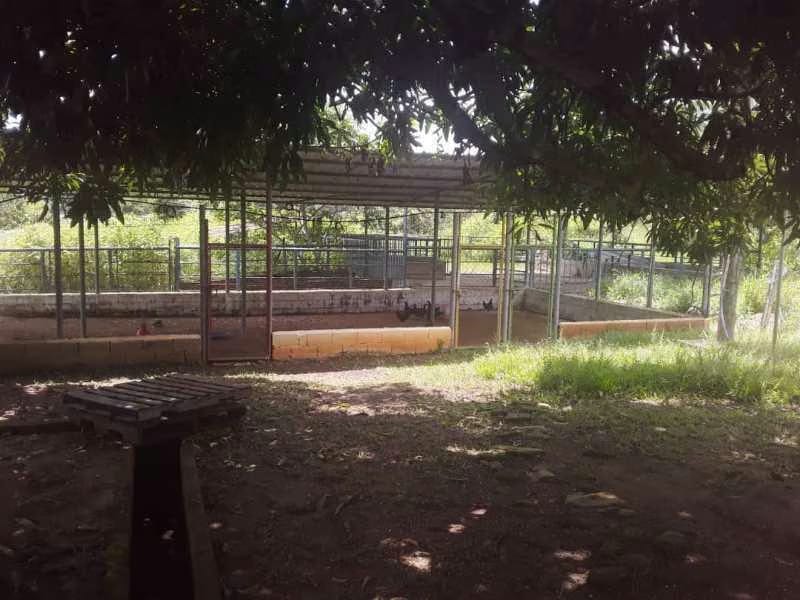 Casa (1 Nivel) en Venta en Sabana del Medio, Carabobo - 50