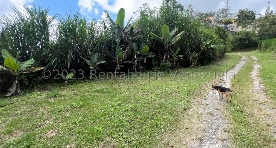 Terreno (Comercial) en Venta en San Antonio, Miranda