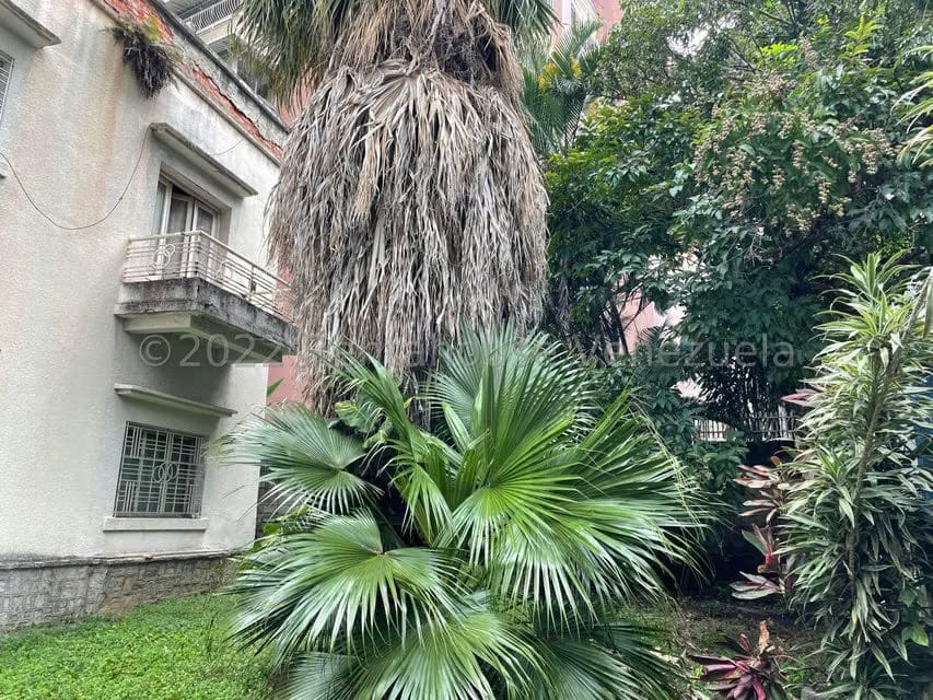 Comercial (Local Comercial) en Venta en San Bernardino, Distrito Metropolitano - 3