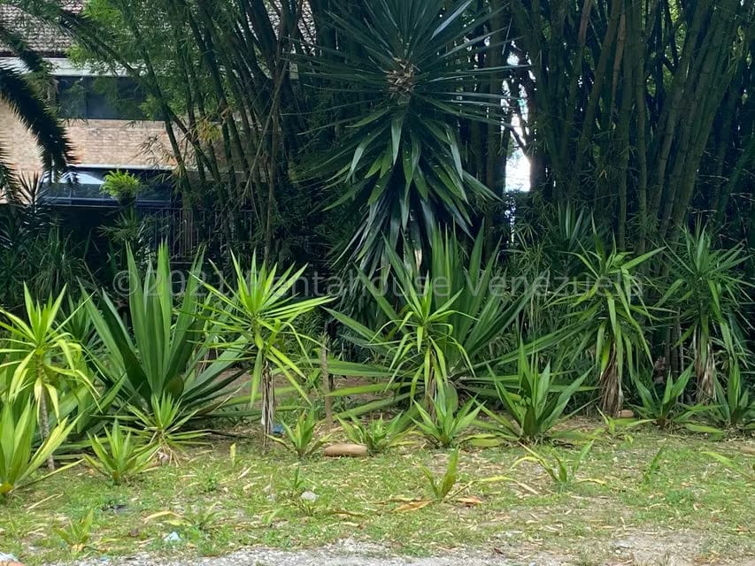 Terreno (Residencial) en Venta en Alto Hatillo, Distrito Metropolitano - 11