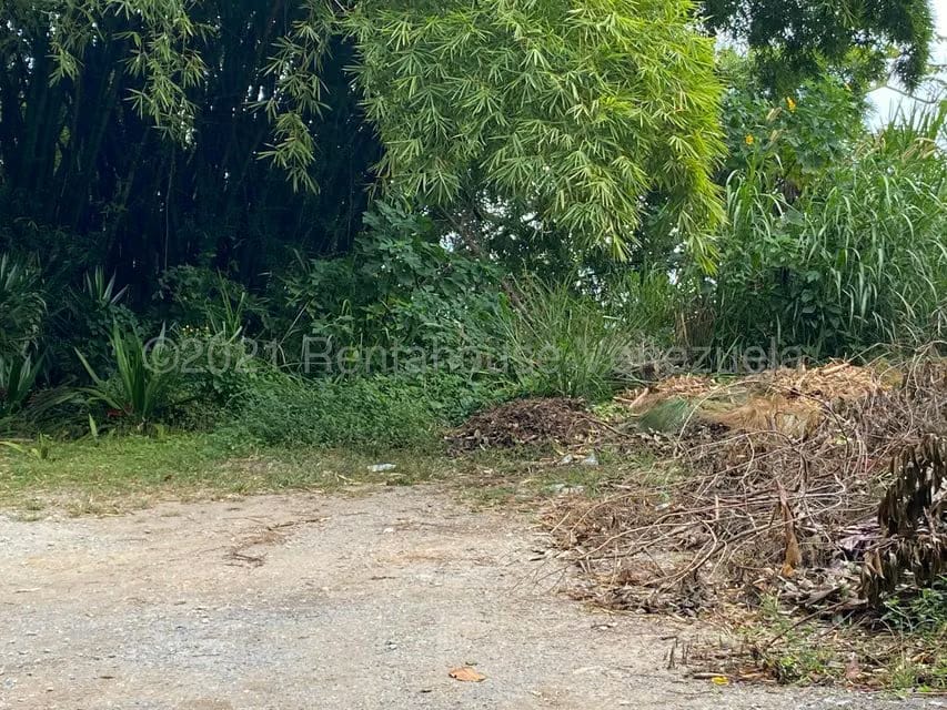 Terreno (Residencial) en Venta en Alto Hatillo, Distrito Metropolitano - 12