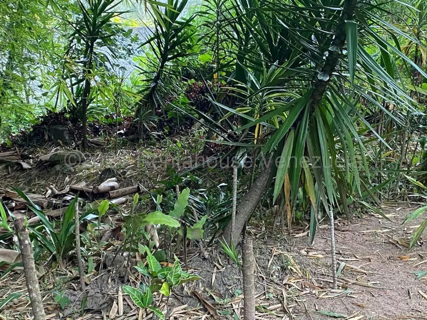 Terreno (Residencial) en Venta en Alto Hatillo, Distrito Metropolitano - 17
